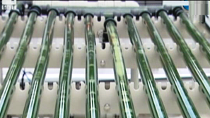 Зелена светлина: Дизел от водорасли