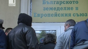 Щурм на пчелари за евросубсидии