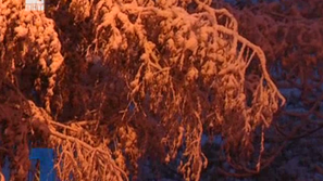 Първи сняг над София