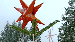 Булевард на елхите в Разлог