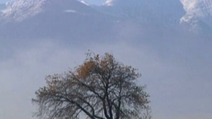 Зелена светлина: Карпатите - съкровищница на биоразнообразието на Европа