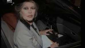 Светска хроника