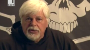 Зелена светлина на фокус: Пол Уотсън