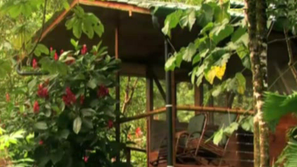 Зелена светлина: Къщи в клоните на дърветата