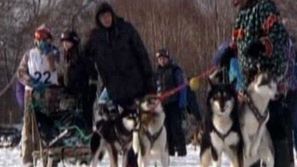 Зелена светлина: Скиджоринг