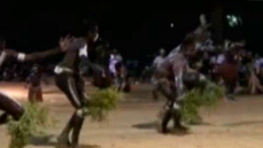 Зелена светлина: „Народът на делфините”