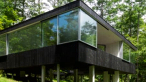 Зелена светлина: Съдбата на дърво, попаднало в центъра на строеж