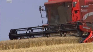 България разполага с два пъти повече зърно