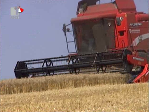 българия разполага два повече зърно