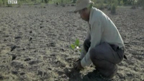 Зелена светлина: Джадав Пайенг или човекът, който създаде гора