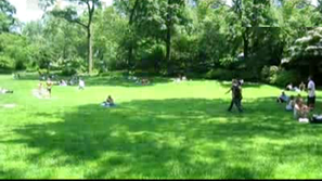 Зелена светлина: Закуска на тревата