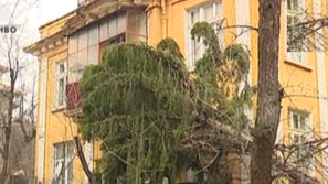 След урагана в Габрово