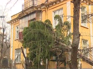 урагана габрово