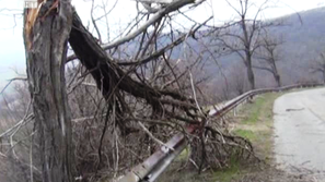 Щети от ураганния вятър в Котленския балкан