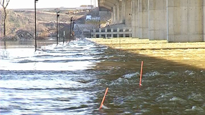 Нивото на Дунав при Видин достигна 746 см