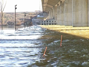 нивото дунав видин достигна 746