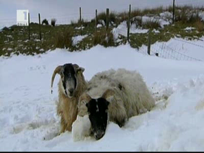 Зелена светлина: Битката с времето и стихиите
