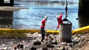 Зелена светлина: Пластмасовият континент