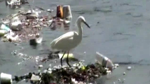 Зелена светлина: Как да почистим океаните