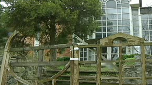 Училището в Бояна се руши и разграбва