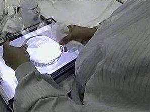 международна хроника