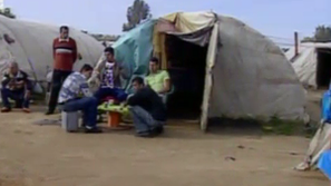 Международна хроника