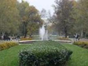 софия кънтемпорари