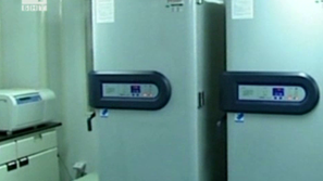 20 станаха жертвите на H7N9 в Китай