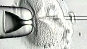 Фондът Ин витро работи