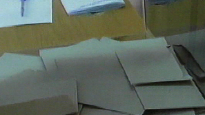 Няма нарушения на изборното законодателство в тутраканското село Пожарево