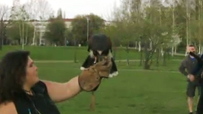 Нестандартна терапия