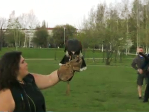 нестандартна терапия