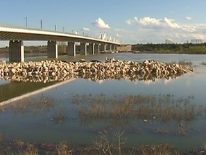 акционерно дружество управлява дунав мост