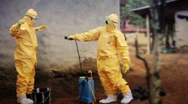 Положителни проби за антракс в 10 заведения във Варненско