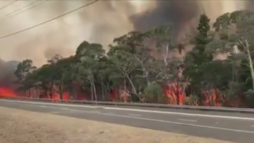 Гореща вълна обхвана Австралия Това създава опасност от разпространението на