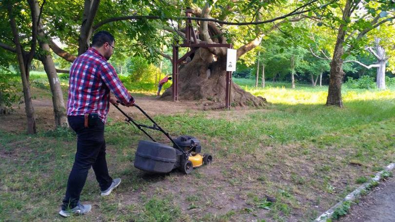 Защитниците на парк Бедечка почистиха алеите на парка (СНИМКИ)