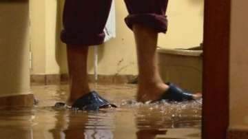 Няма опасност за хората в Белозем