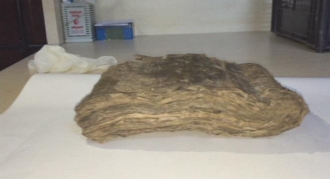 Турската полиция откри библия на 1000 години