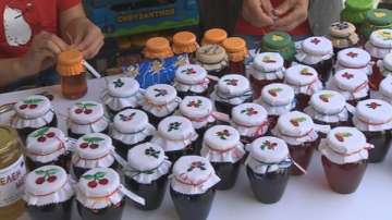 Предлагат менте био храни