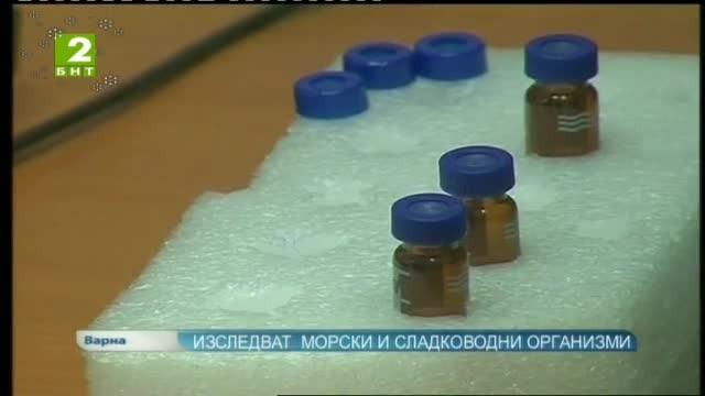 Изследват морски и сладководни организми