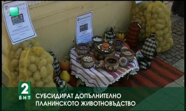 Субсидират допълнително планинското животновъдство