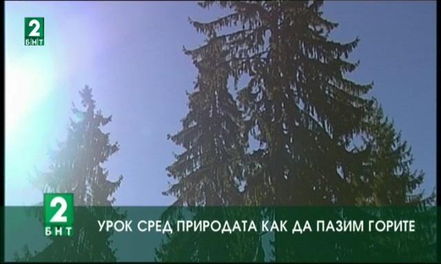 Урок сред природата как да пазим горите