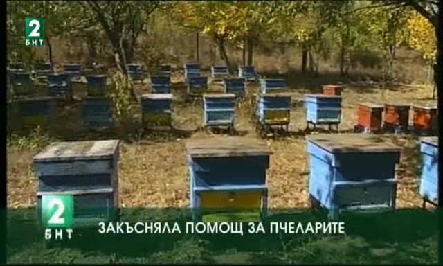 Закъсняла помощ за пчеларите