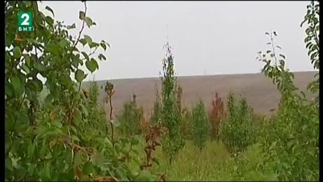 Местни производители представиха продукцията и проблемите си