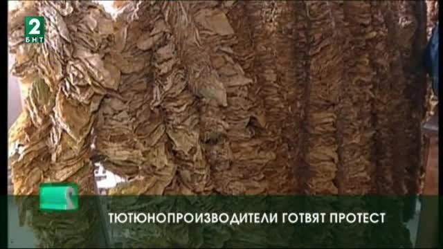 Тютюнопроизводители готвят протест