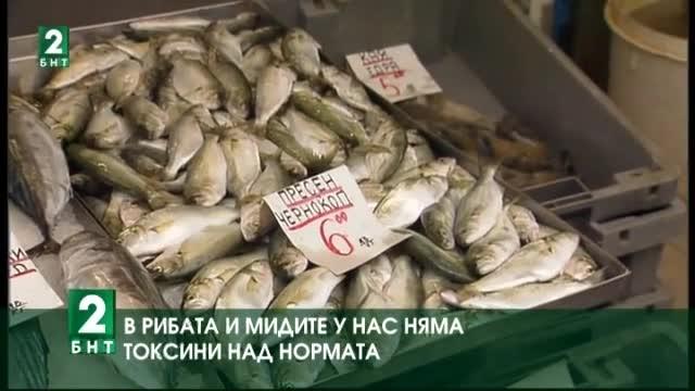 В рибата и мидите у нас няма токсини над нормата