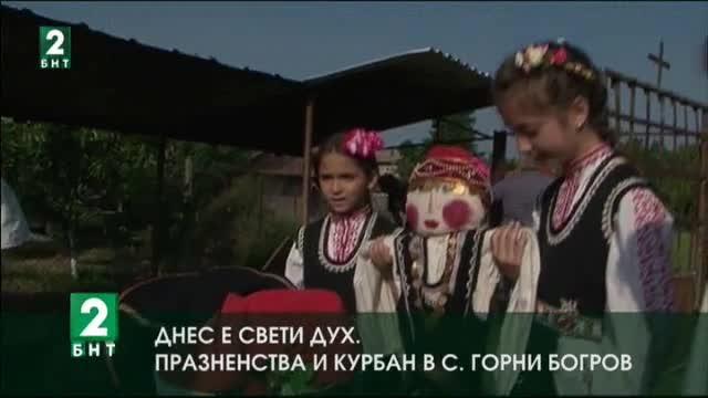 На Свети Дух излизат русалските невести в село Горни Богров