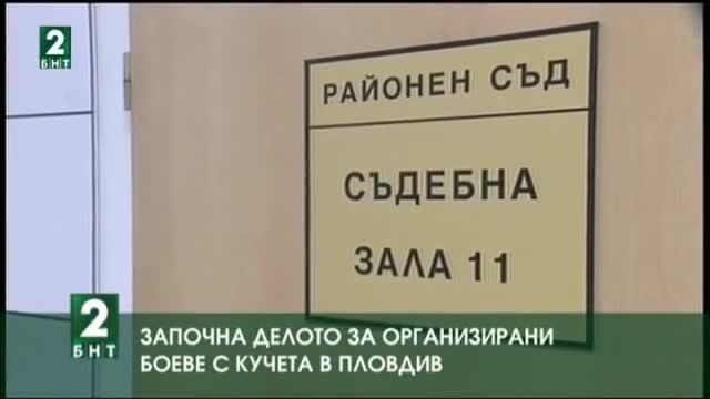 Започна делото за организирани боеве с кучета в Пловдив