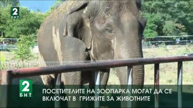 Животните в Софийския зоопарк се разхлаждат с плодове и студен душ
