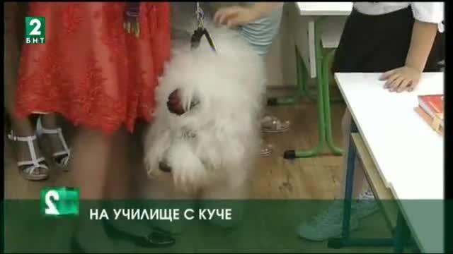 На училище с куче